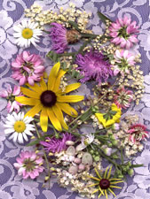 Road Flowers